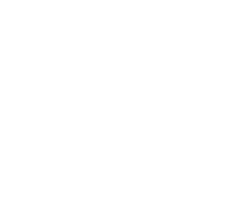 ENSA Paris Malaquais Logo Blanc